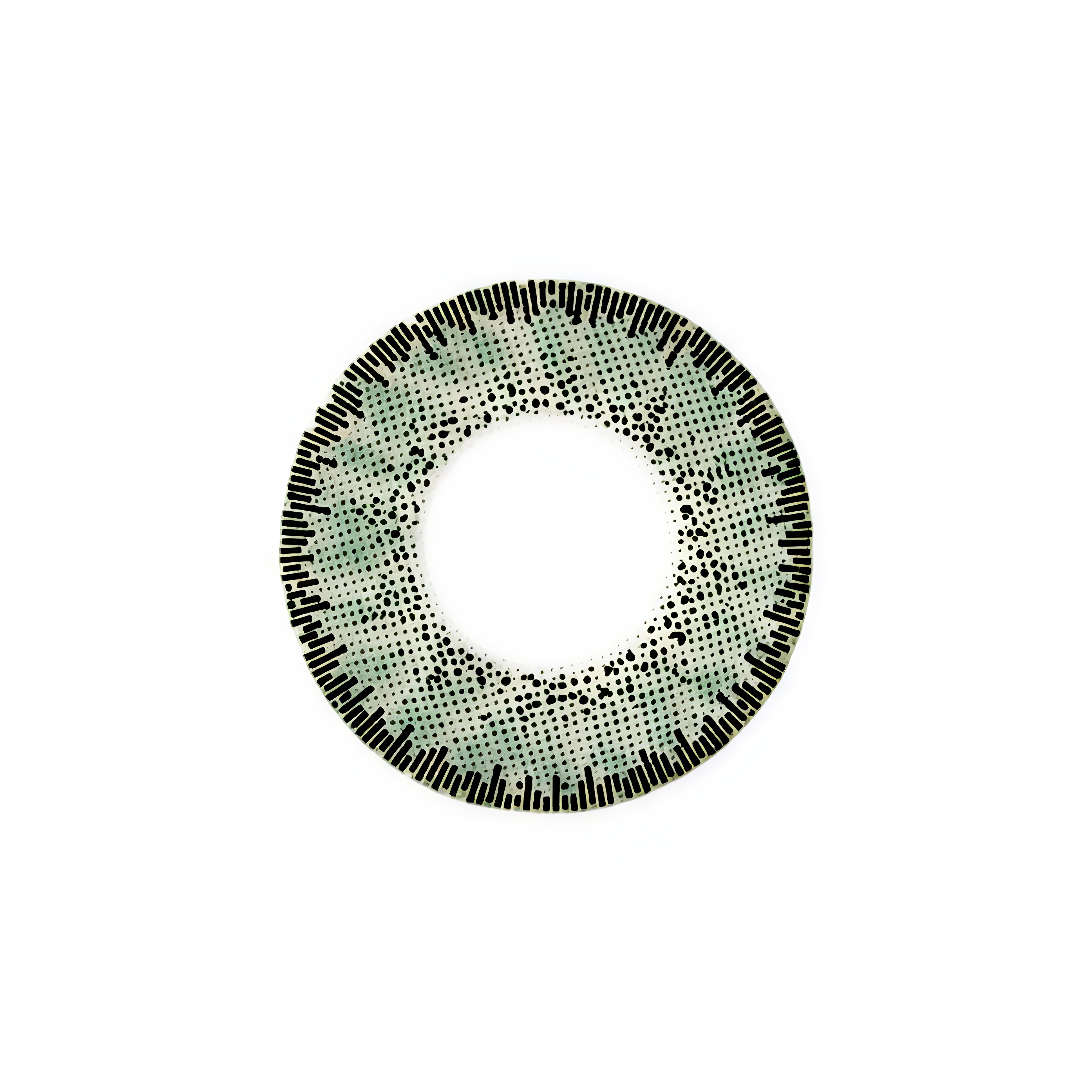 Baush+Lomb (Light Green) Lacelle Natural look